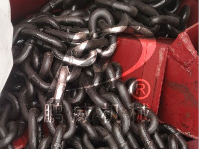 TH環鏈式斗式提升機配件