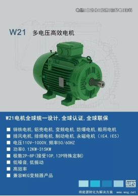 W21	多電壓高效電機