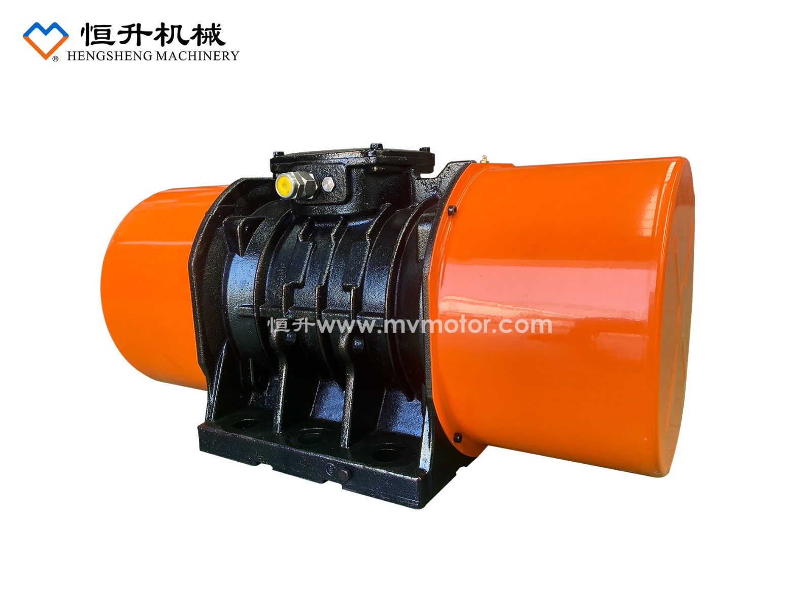 MVE系列防爆振動(dòng)電機(jī)