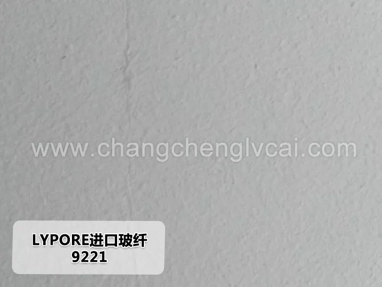 LYPORE進口玻纖9221